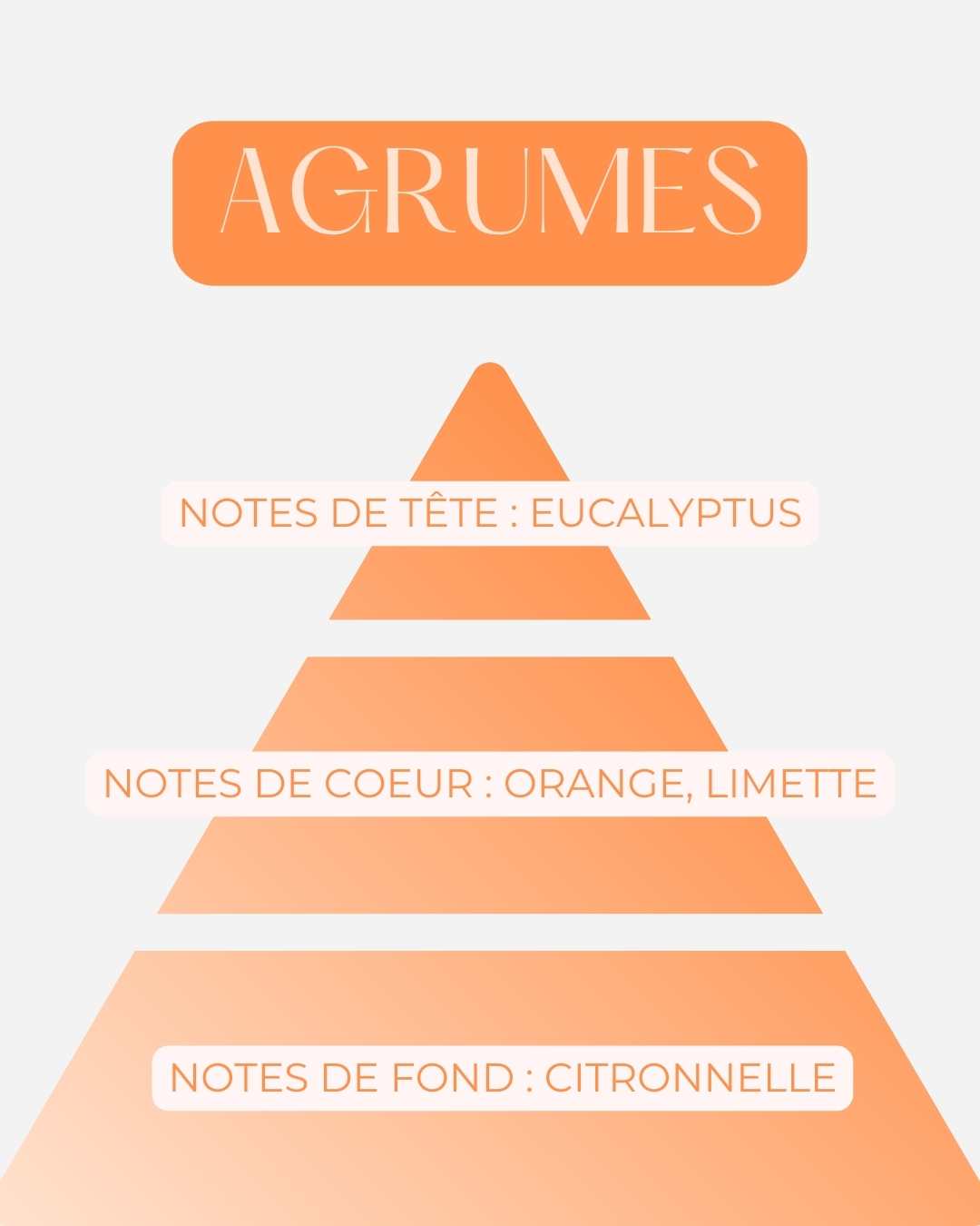 La Bougie Agrumes