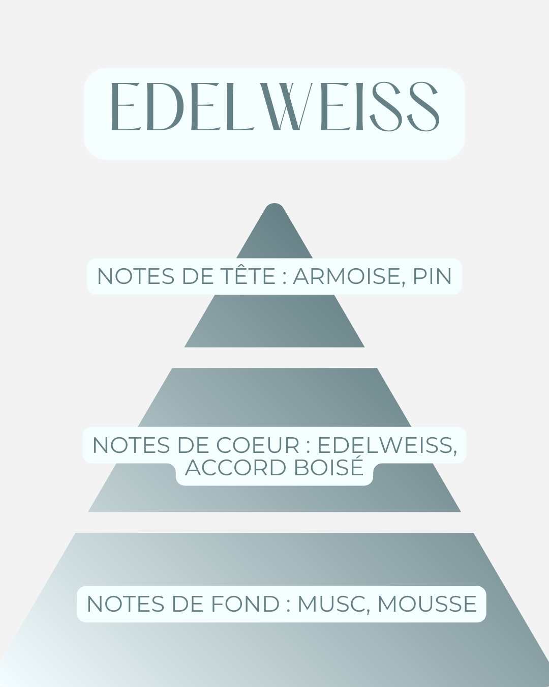 La Bougie Edelweiss
