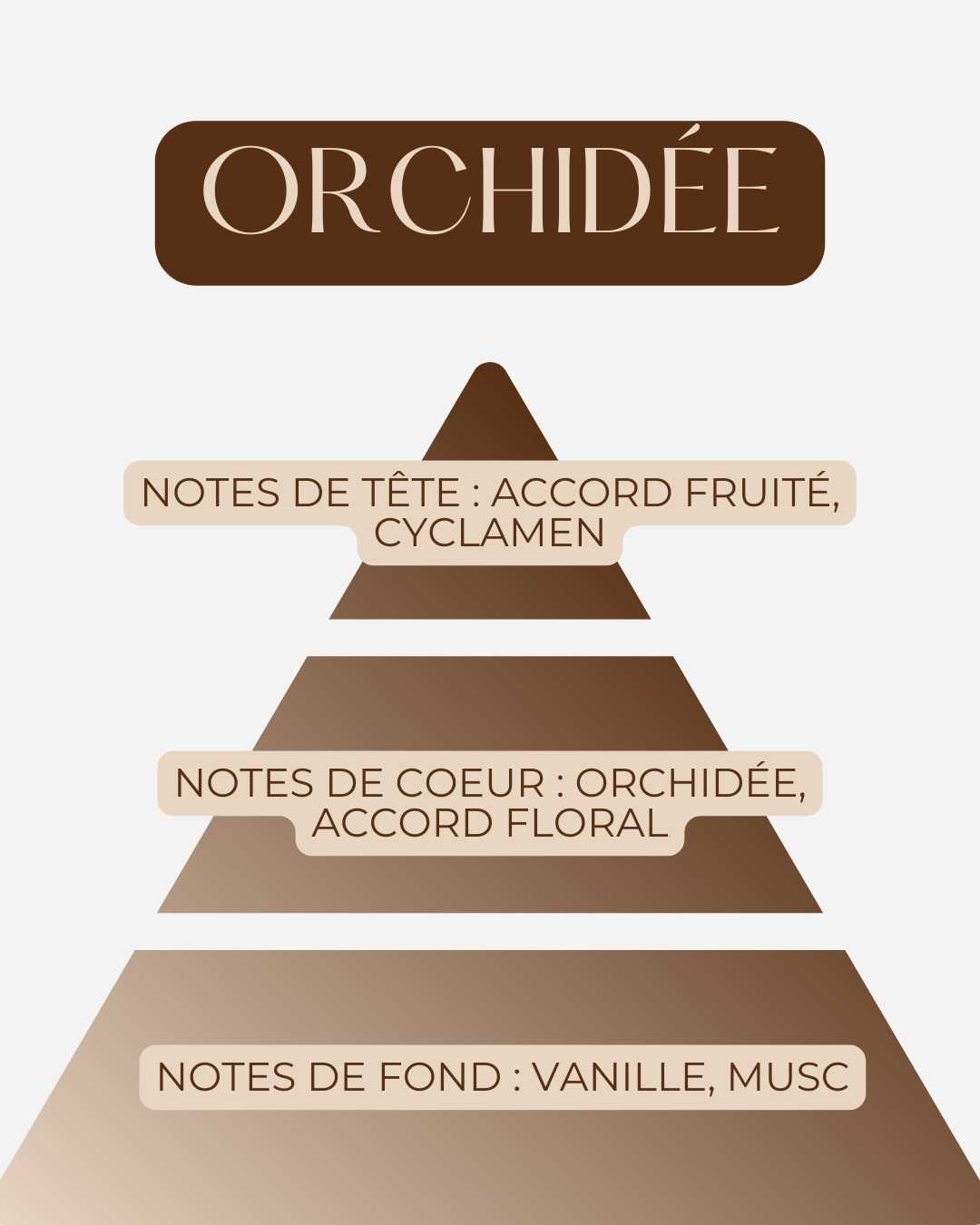 La Bougie P'tit Coeurs