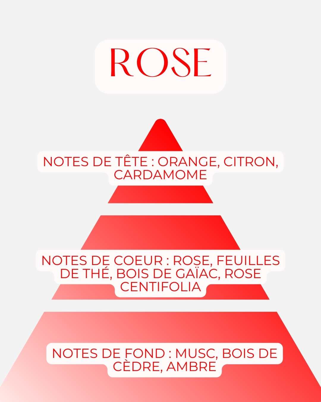 La Bougie Rose