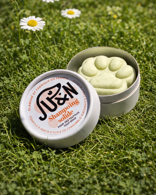 Shampoing solide - Pattounes