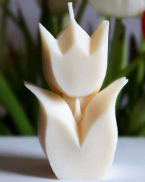 La Bougie Tulipe